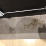 カーペットにしょうゆをこぼしたら?もう少しきれいにしようよ…