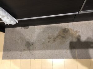 カーペットにしょうゆをこぼしたら？もう少しきれいにしようよ…